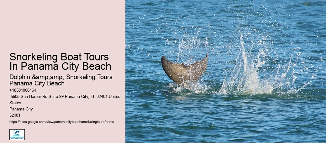 Panama City Beach Snorkel Discovery Cruises