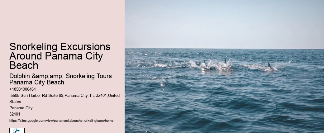 Panama City Beach Snorkeling Tours Reef