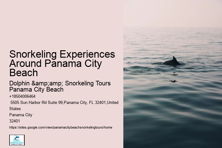 Panama City Beach Snorkeling Tours Cruise
