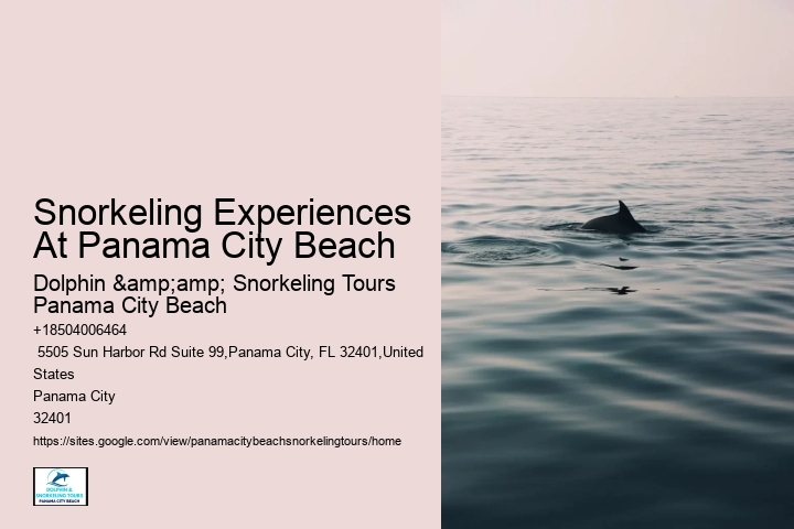 Snorkeling Trips Departing From Panama City Beach