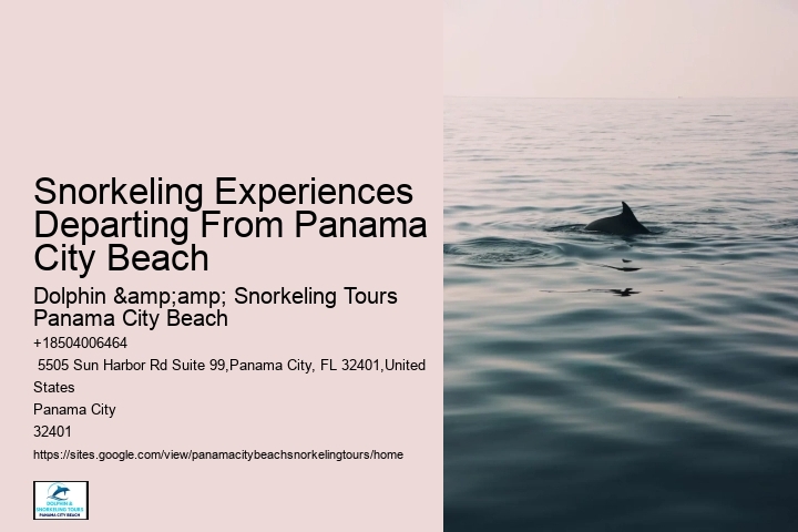 Panama City Beach Snorkeling Tours Miami