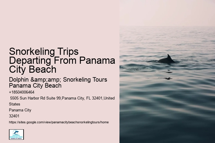 Panama City Beach Snorkeling Tours Jupiter Florida