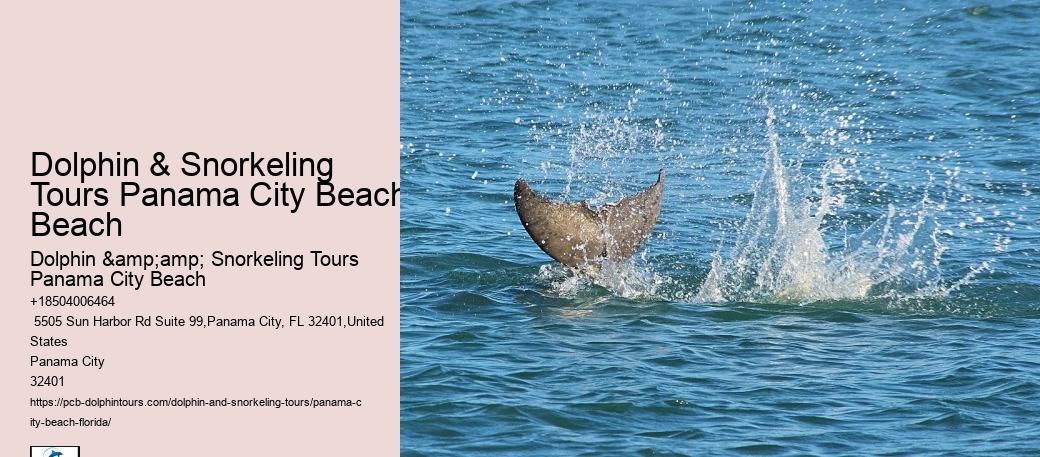 Panama City Beach Snorkeling Tours Panama City Beach Beach Fl