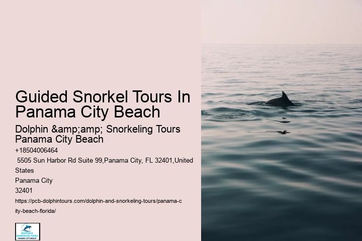 Panama City Beach Snorkeling Tours