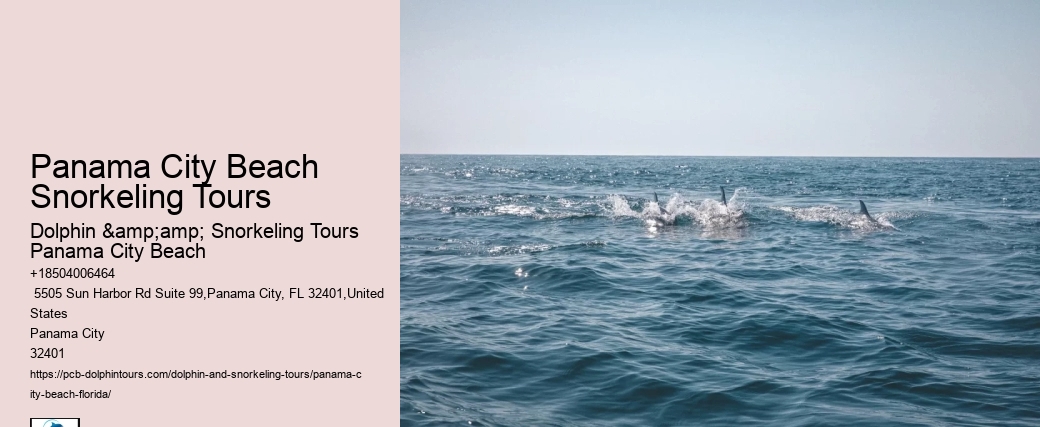 Panama City Beach Snorkeling Tours Volume