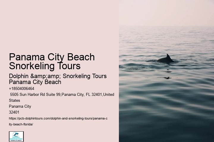 Panama City Beach Snorkel Adventure Cruises