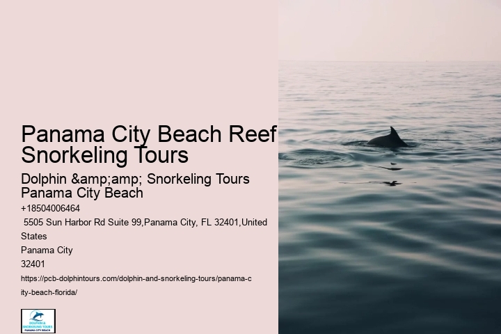 Panama City Beach Boat