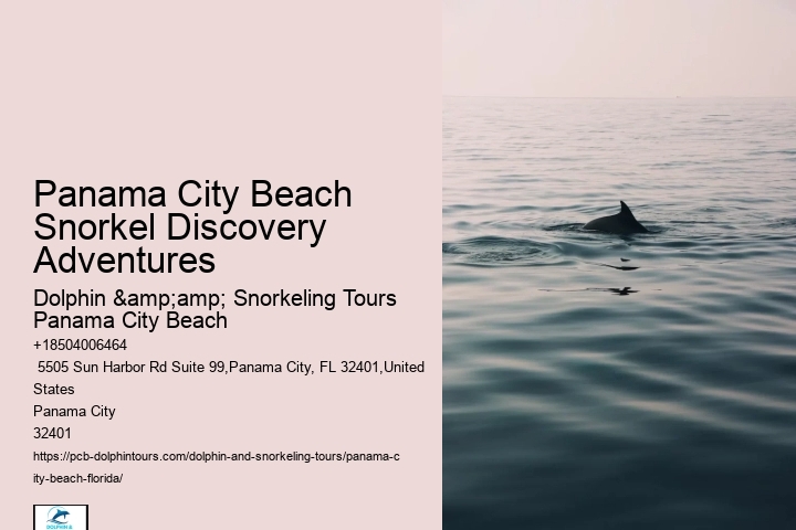 Panama City Beach Snorkel Expeditions