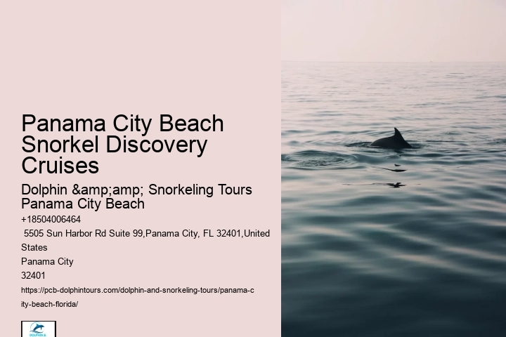 Panama City Beach Snorkeling Tours Hudson Valley