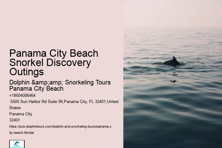Panama City Beach Dolphin