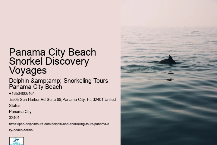 Snorkeling Experiences Departing From Panama City Beach