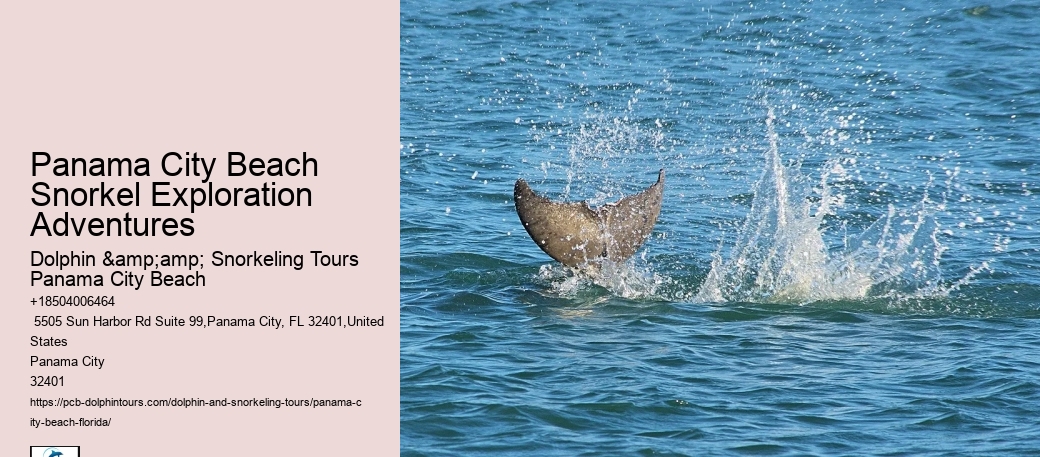 Panama City Beach Snorkel Boat Trips
