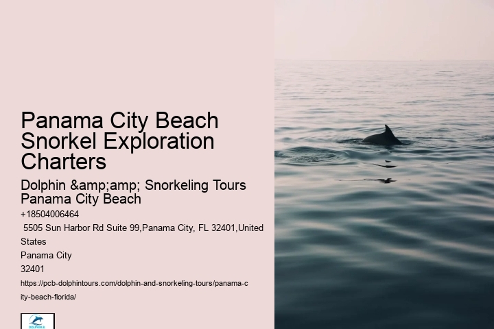 Dolphin And Snorkeling Tours Panama City Beach Beach Fl