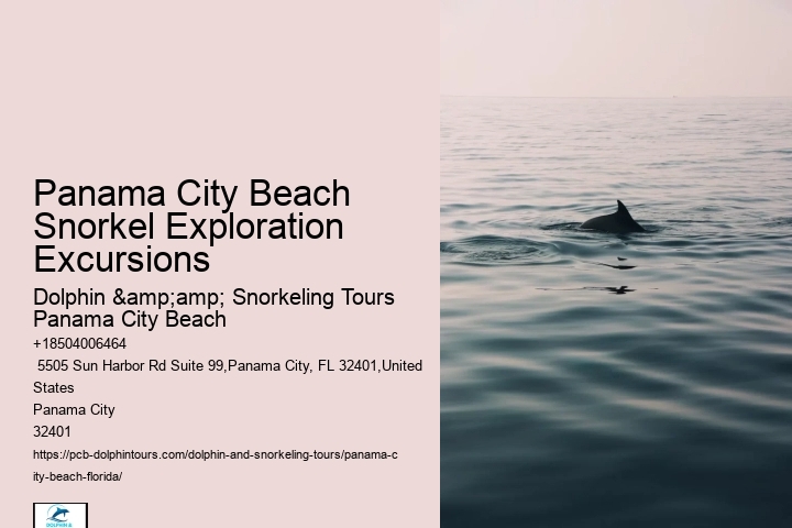 Panama City Beach Snorkeling Tours 17