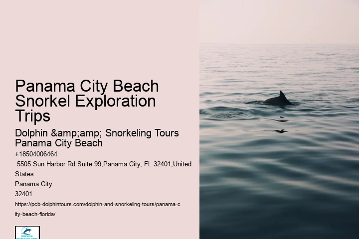Snorkeling Adventures Departing From Panama City Beach