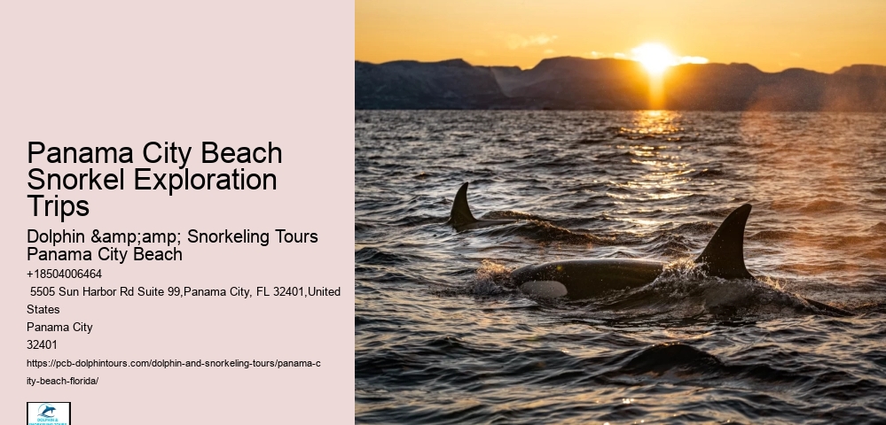Panama City Beach Snorkeling Tours Washington