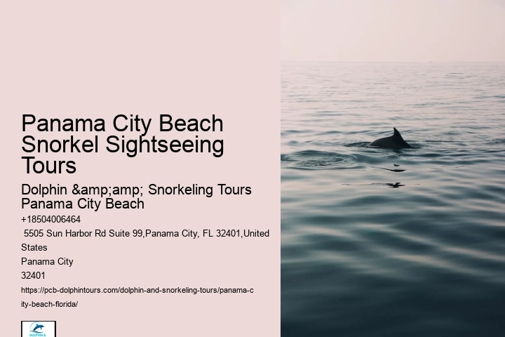 Panama City Beach Snorkel Discovery Adventures
