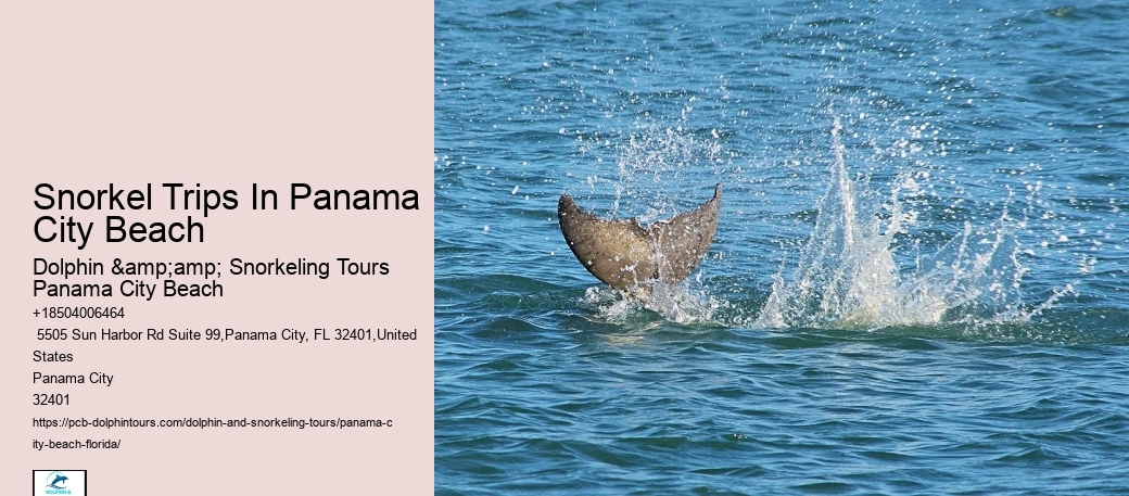 Snorkeling Charters Departing From Panama City Beach