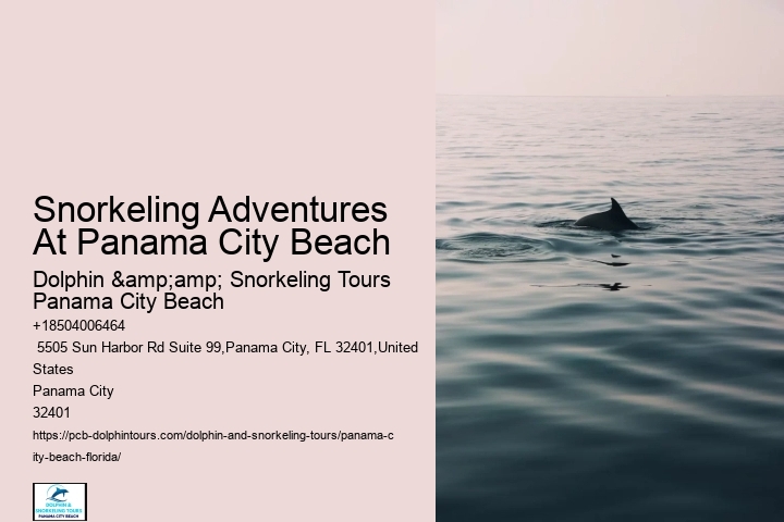 Panama City Beach Snorkeling Tours Airboat