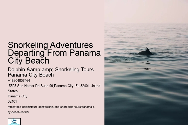 Panama City Beach Snorkel Excursion Trips
