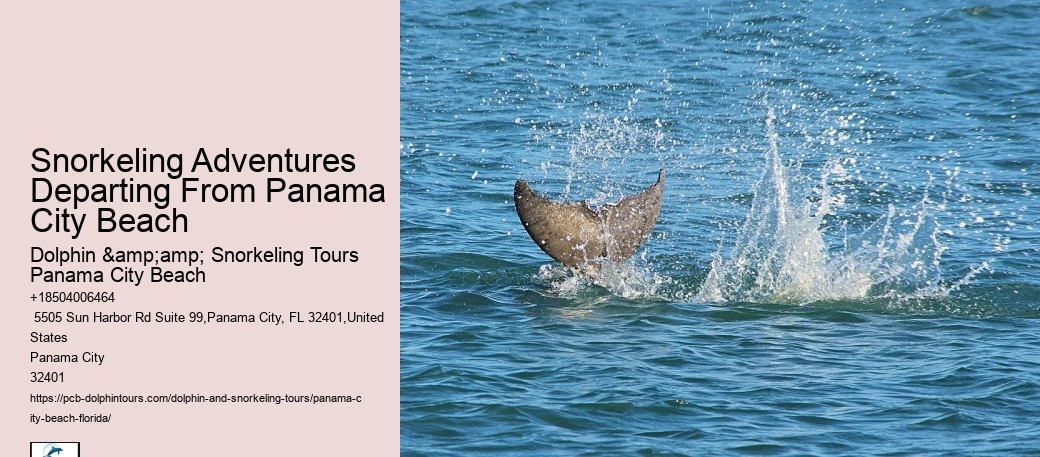 Snorkeling Excursions Around Panama City Beach