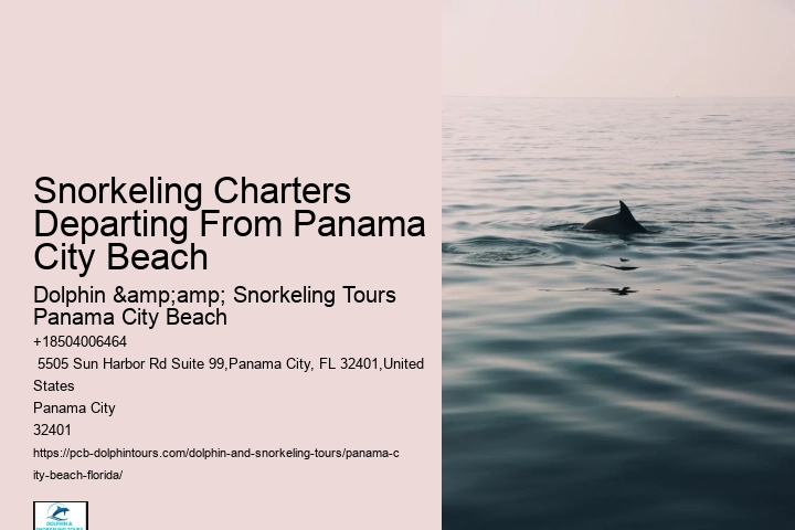 Panama City Beach Snorkeling Tours 300