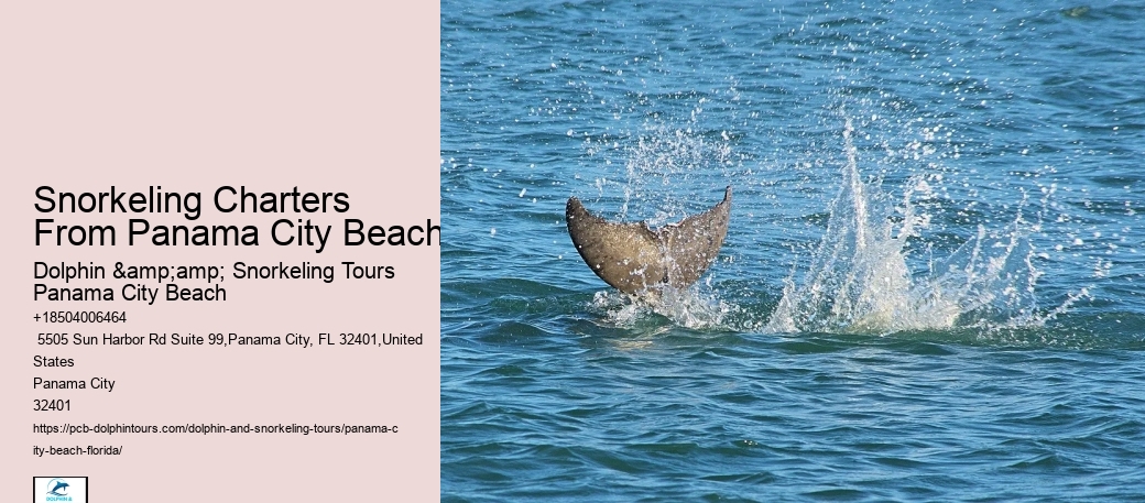 Panama City Beach Snorkel Exploration Charters