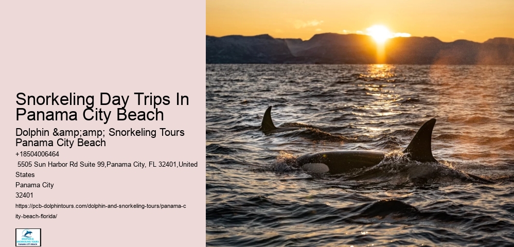 Panama City Beach Snorkel Safaris