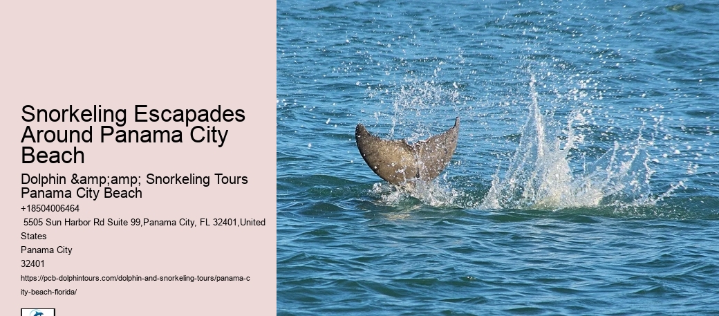 Panama City Beach Snorkeling Tours Voyager