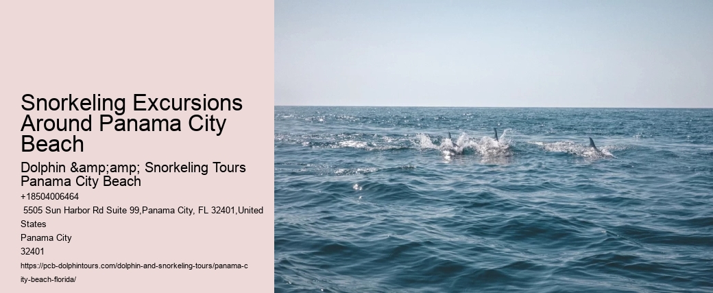 Pcb Snorkel Tours