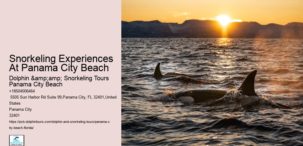Panama City Beach Snorkeling Tours 32nd