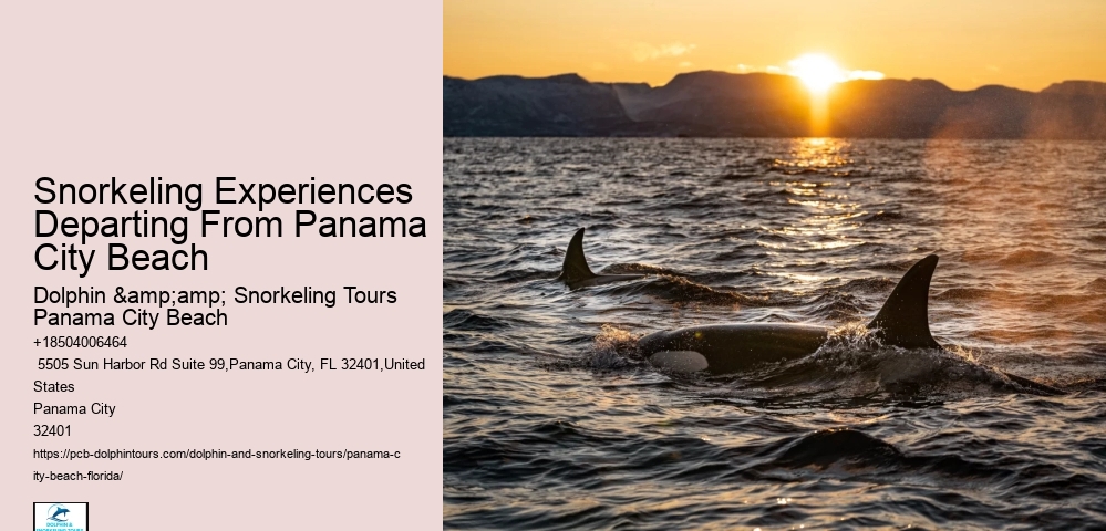 Panama City Beach Beach Snorkeling Tours