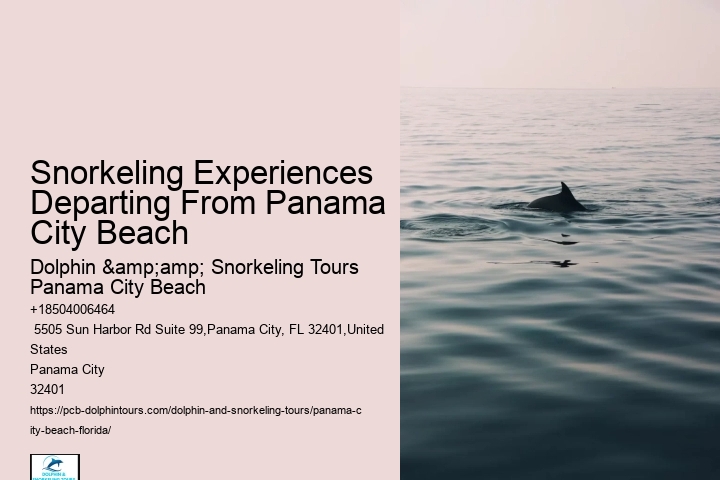 Panama City Beach Snorkeling Tours Delaware Valley