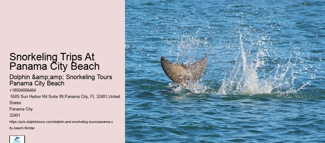 Snorkeling Experiences Departing From Panama City Beach