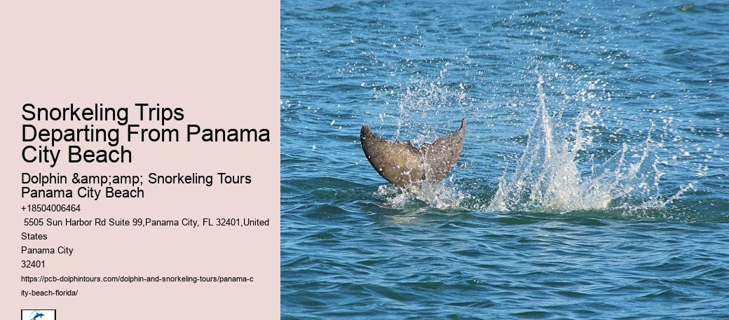 Snorkeling Escapades Around Panama City Beach