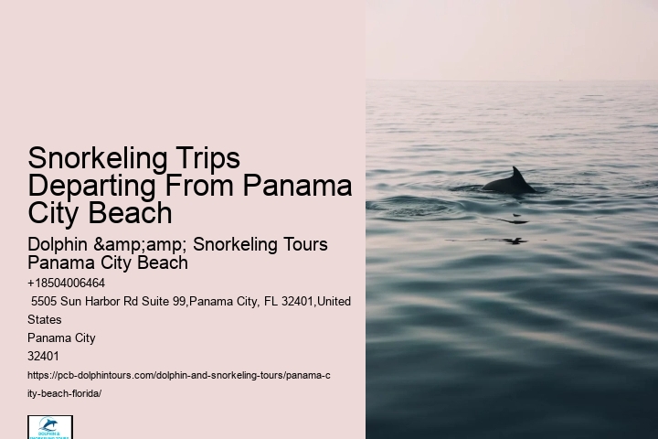 Dolphin And Snorkel Tours Panama City Beach