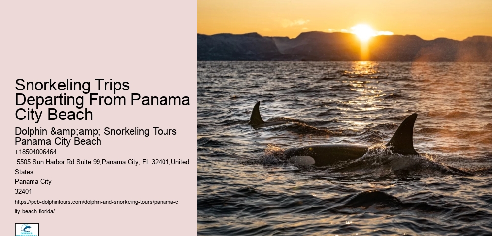 Panama City Beach Snorkeling Tours And More