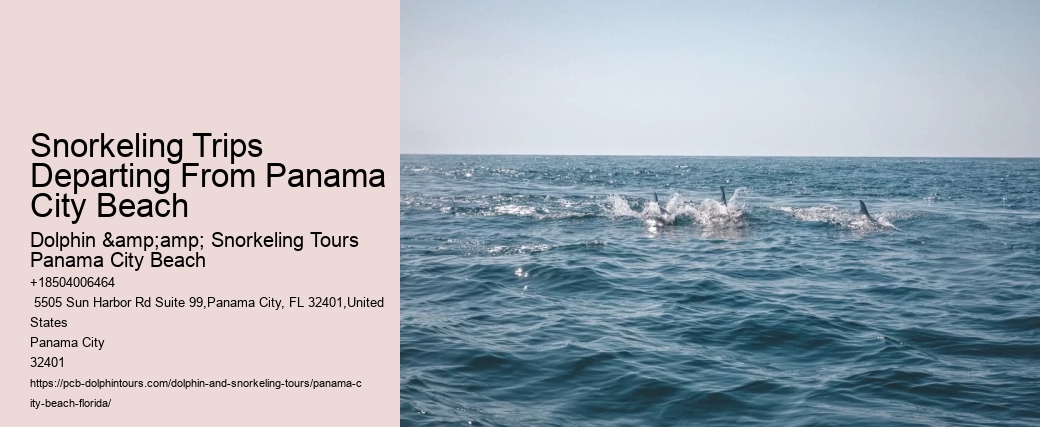 Panama City Beach Snorkeling Tours 1 Lake